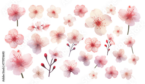 Set collection of soft pastel cherry blossom flowers for wedding invitation and greeting card vector illustration