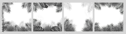 tropical dark frames vector collection. Amazon tropic palms leaves cards set. Rainforest plants, elegant foliage border for travel, beauty concept, advertising sale covers, summer and party designs.