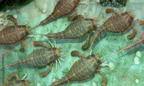 Photos Eurypterids Gathering on a Silurian Seafloor