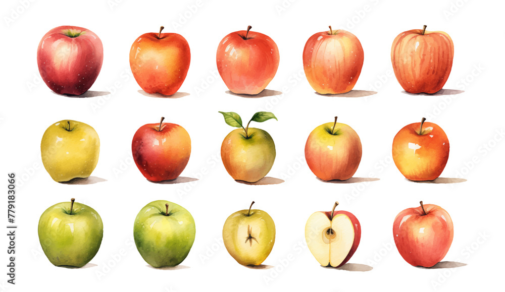 set of Watercolor elements of apple fruits, leaves and flowers for posters, wedding cards, summer boho banners, cover design templates, social media post, spring wallpapers. Vector apples illustration set of Watercolor elements of apple fruits, leaves and flowers for posters, wedding cards, summer boho banners, cover design templates, social media post, spring wallpapers. Vector apples illustration