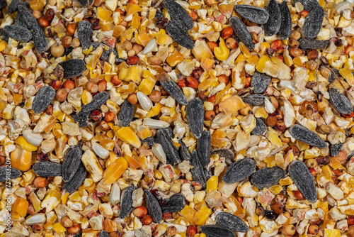Closeup of birdseed mixture of cracked corn, sunflower seeds, milo and millet. Backyard birdfeeder, bird food and wildlife concept.