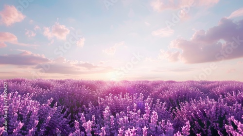 A field of purple flowers under a cloudy sky. Perfect for nature and landscape themes © Fotograf