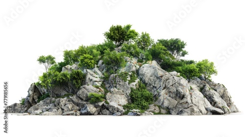 A mountain of rocks and trees on a white background. Suitable for nature and outdoor themes