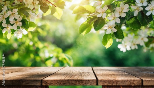 Springtime Oasis: Nature's Beauty Abounds with Blossoming Branches and an Inviting Wooden Table #779185894
