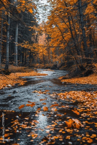 Peaceful stream flowing through a forest with yellow leaves, ideal for nature and outdoor concepts