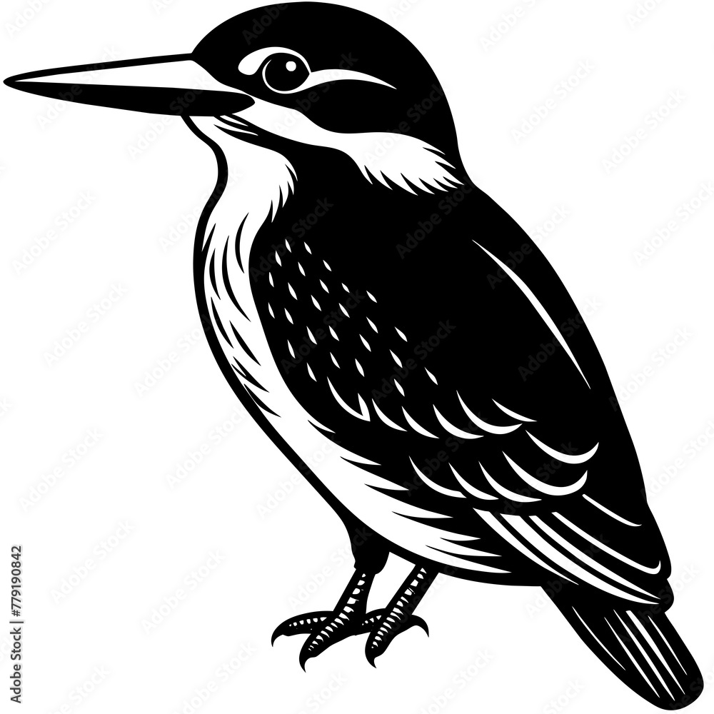 Obraz premium kingfisher silhouette vector illustration svg file