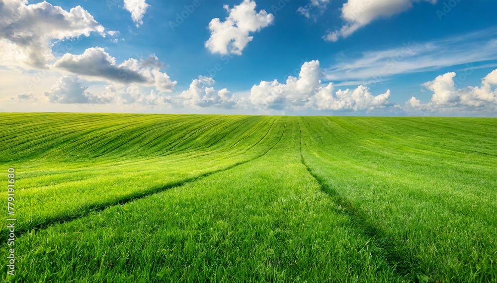 Fototapeta premium Tranquility in Green: Scenic Panorama of a Perfectly Manicured Lawn