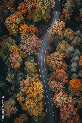 An aerial view of a road surrounded by trees. Perfect for transportation or nature concepts