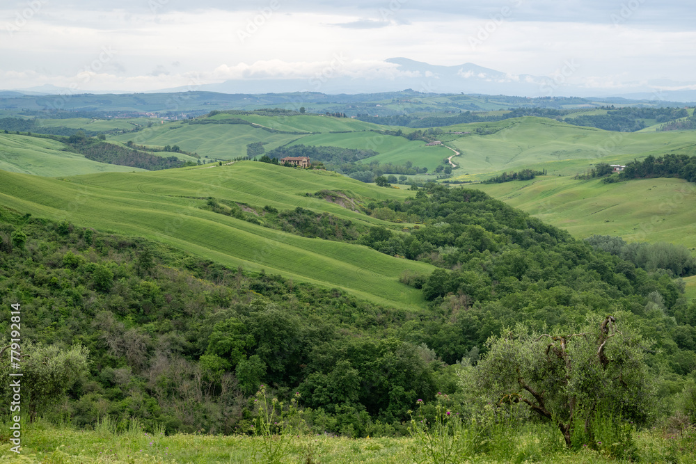 landscape with green hills in tuscany italy