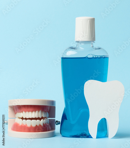 Human jaw model, mouthwash on blue background, oral hygiene