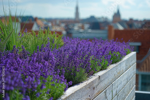 A wall of purple flowers is in front of a building