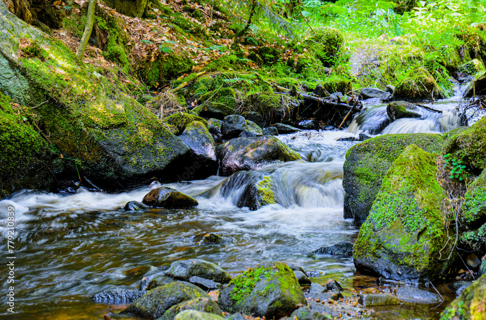 waterfall in the forest, Peak District, UK waterfall in the forest, Peak District, UK