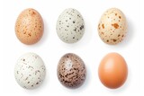 Top view of white and brown eggs arranged in a row on a fresh background. Raw chicken and quail eggs, representing breakfast and farm produce