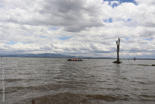 A lone acacia trunk stands majestically dead in the water of Lake Naivasha in the Great Rift Valley