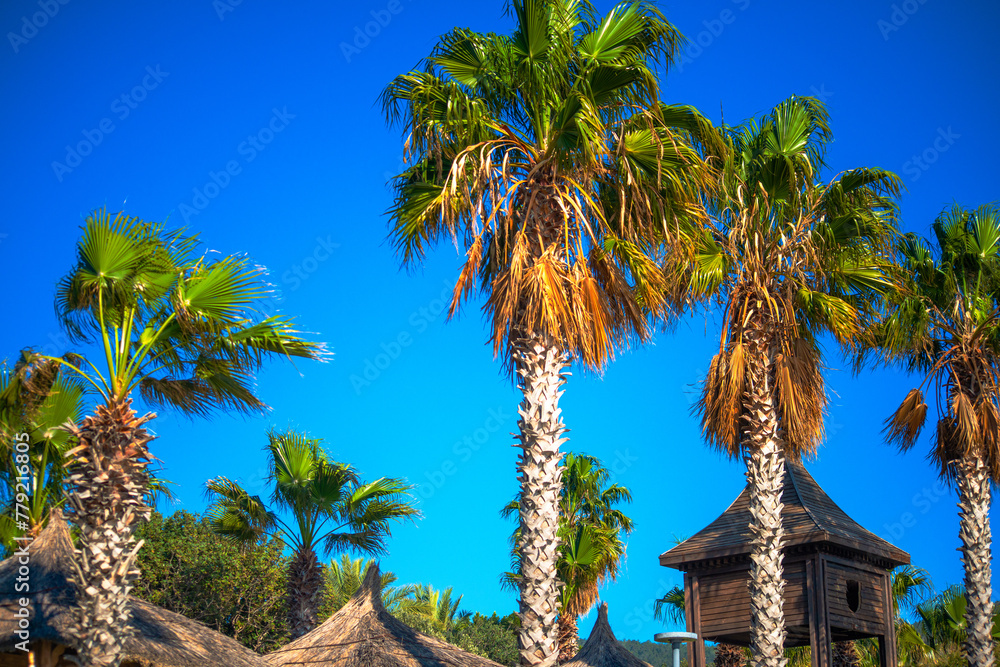 Tropical Traditions: Palm Trees and Tribe Houses in Paradise