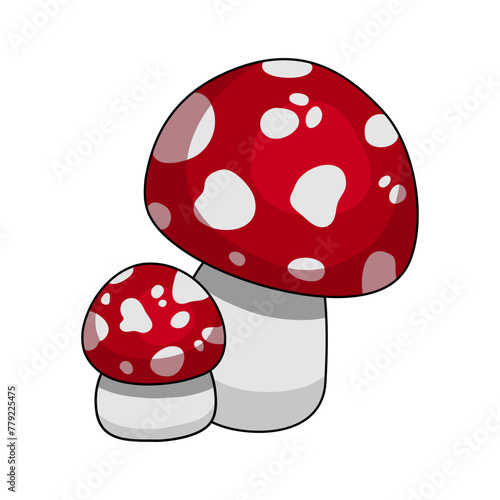 amanita fly agaric mushroom forest autumn summer poison poisonous walk forest