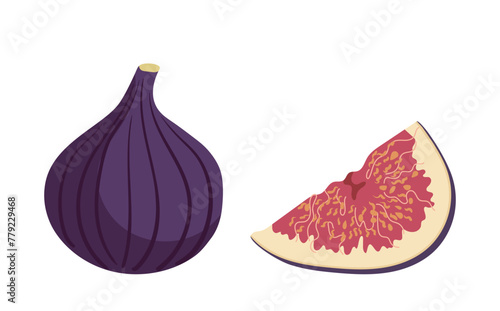 Ripe fresh figs, whole and sliced quarter part of exotic fruit vector illustration isolated on white