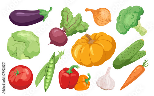 Fresh vegetables, organic garden harvest, natural nutritious ingredient set isolated on white