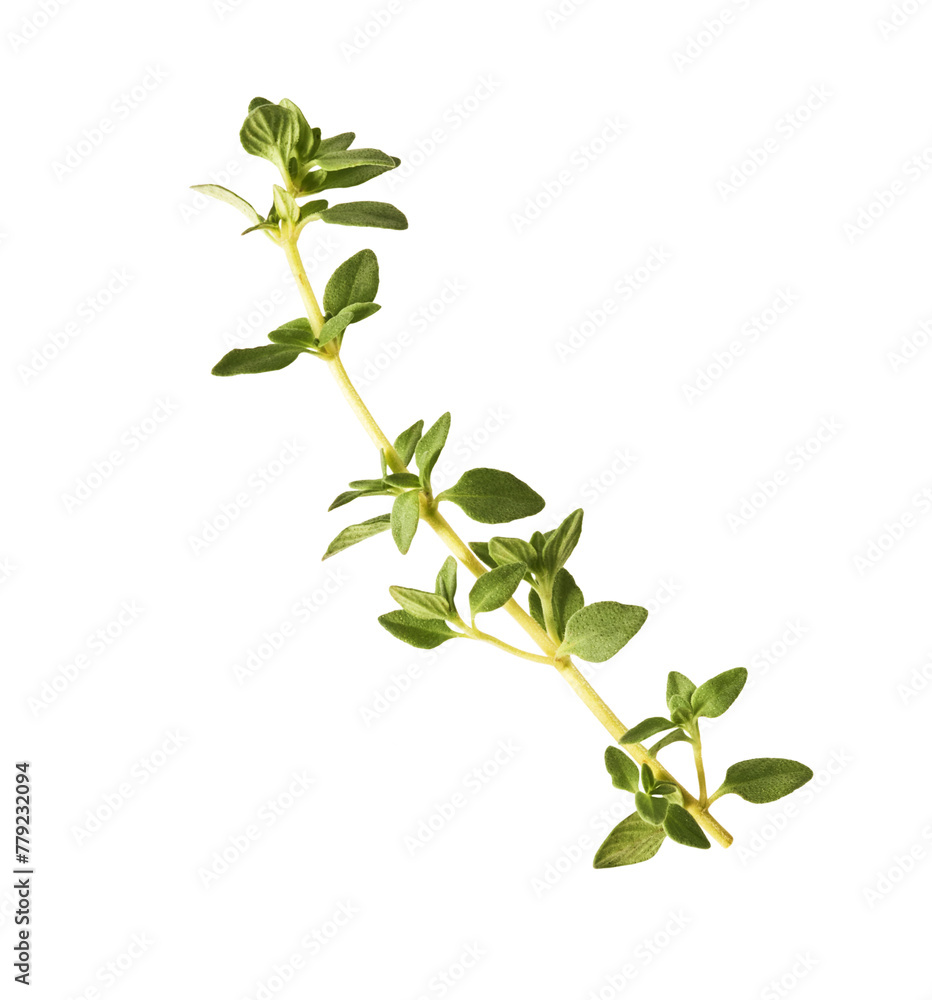 Fresh green thyme herb falling in the air isolates on white background Fresh green thyme herb falling in the air isolates on white background