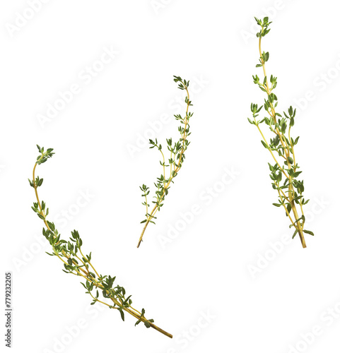 Fresh green thyme herb falling in the air isolates on white background