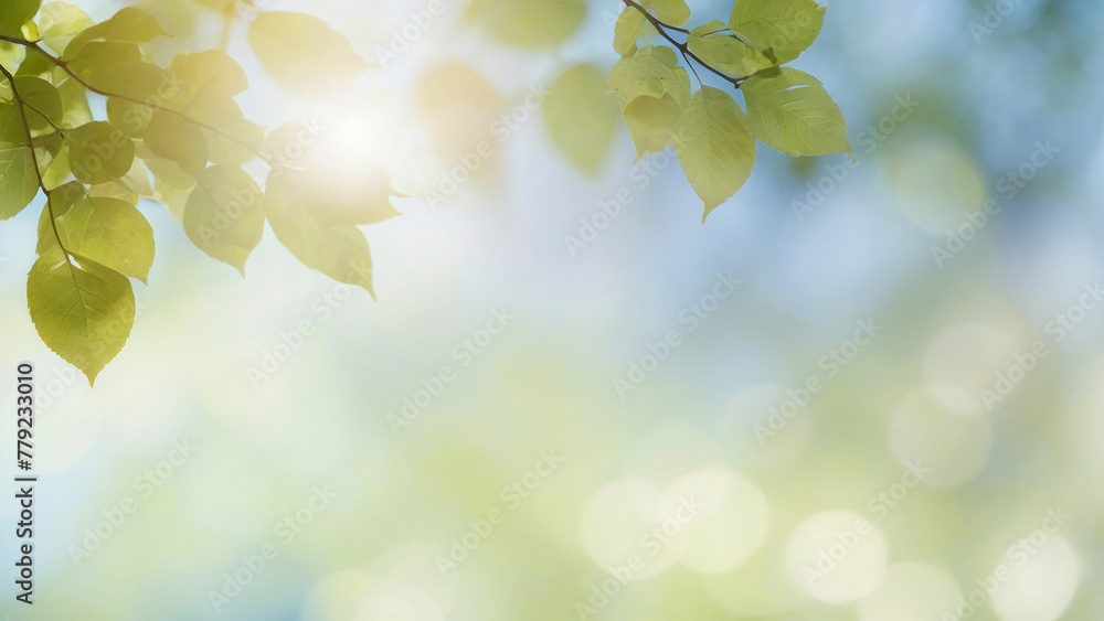 Deciduous tree branch with bright sun in the background. The leaves are green, blurred background with closed sides at the back and places for text