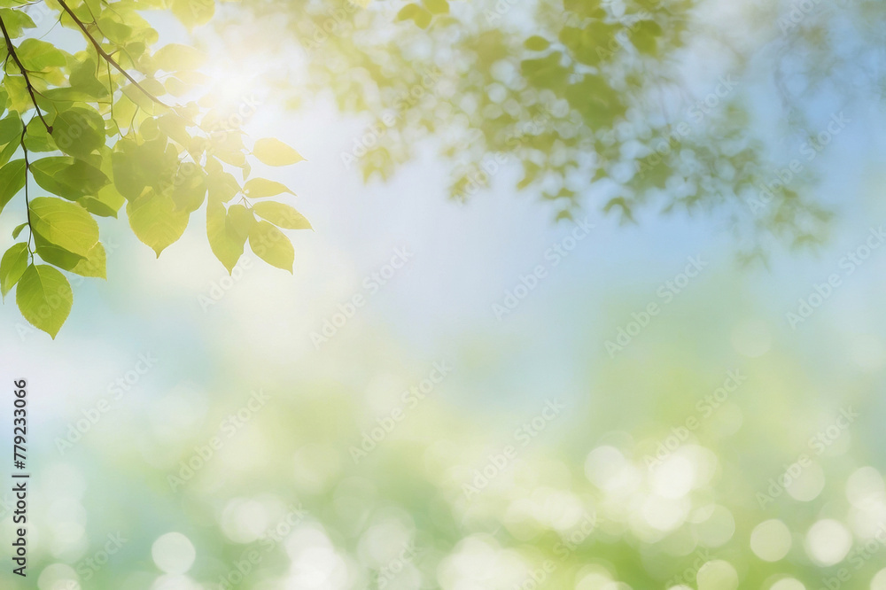 Spring or summer season abstract nature background with tree leaves and blue sky at back front and light blue blurred background in subtle bokeh at back