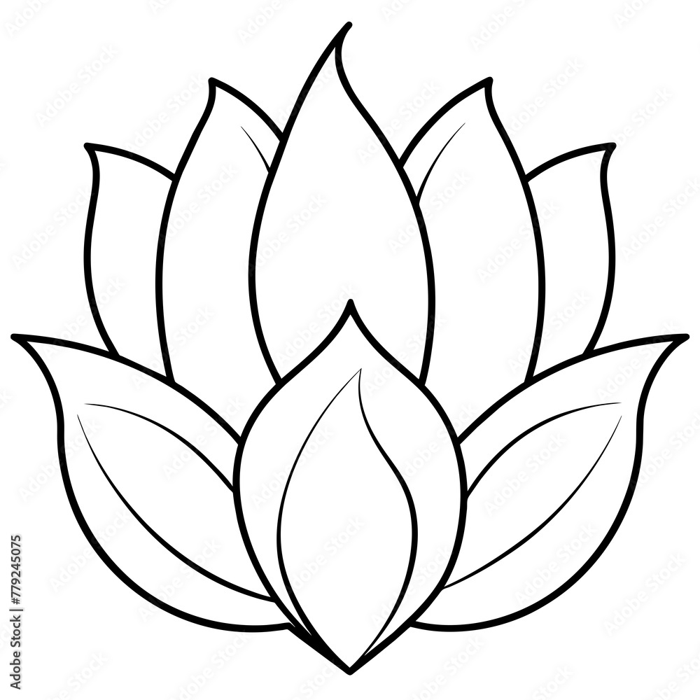 lotus flower vector lotus flower vector