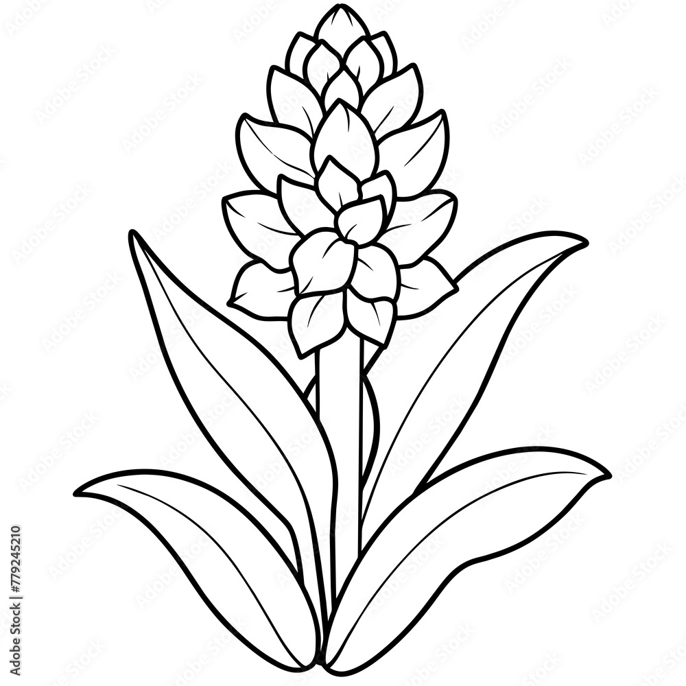 Fototapeta premium sketch of a flower
