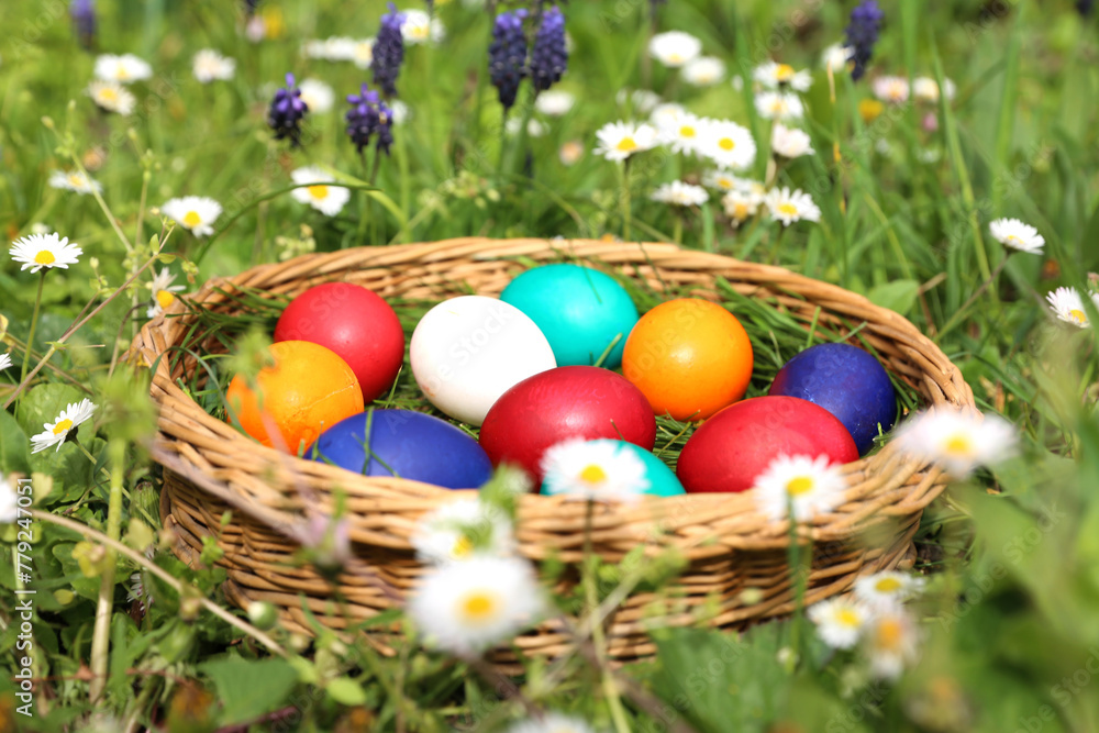 Closeup of colorful eggs in beautiful spring meadow on easter holiday outdoors in green graas.Traditional symbol for christian and catholic holiday Closeup of colorful eggs in beautiful spring meadow on easter holiday outdoors in green graas.Traditional symbol for christian and catholic holiday