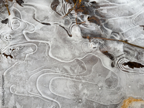 thin transparent ice on a puddle in the park on a spring day, foliage through the ice, dry grass through ice