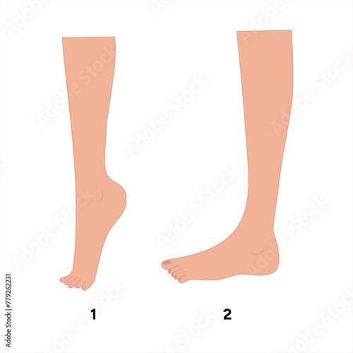 Special exercise for food deformation problem. Orthopedist Therapeutic and strengthening foot up and down