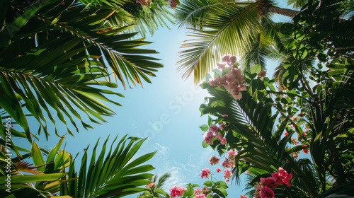 Looking up to the sky through the branches of tropical plants and flowers.