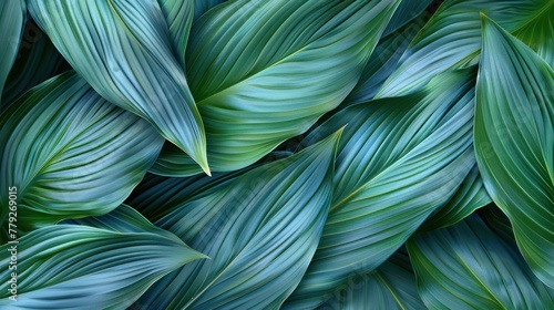 This image shows a close-up texture of vibrant blue-green leaves with intricate details and patterns, creating a natural and refreshing visual