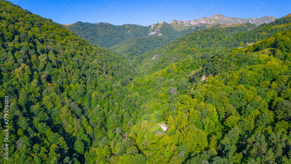 Obraz premium Panorama view of Dilijan national park in Armenia