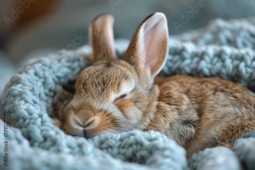 A peaceful baby rabbit enjoys a serene sleep nestled in a soft blue hand-knit blanket  epitomizing innocence and calmness