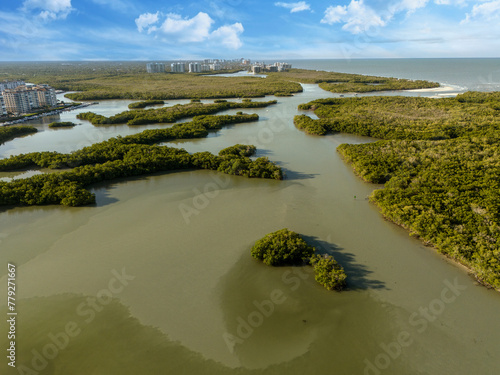 Blue sky over mangrove waterway just beyond the ocean