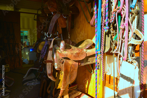 Tack needed to go for a horse ride, including Bits, Bridles, Blankets, Reins, Saddles, and Stirrups