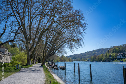 An view of the Rhine River banks