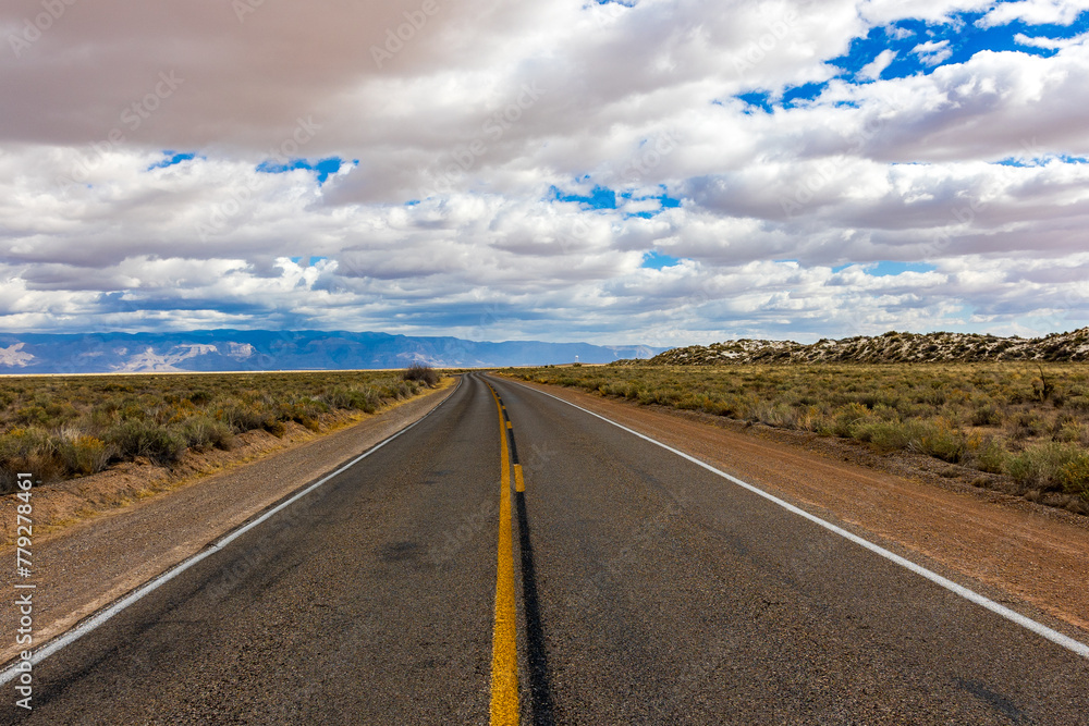 Fototapeta premium Dunes Drive going into White Sands National Park.