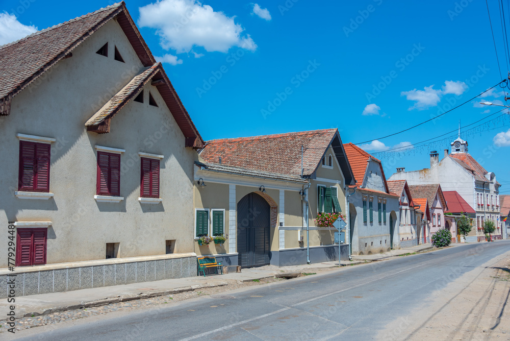 Typical saxon houses in Romanian village Calnic Typical saxon houses in Romanian village Calnic
