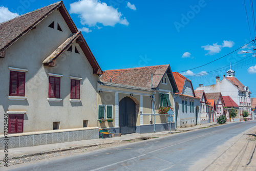 Typical saxon houses in Romanian village Calnic