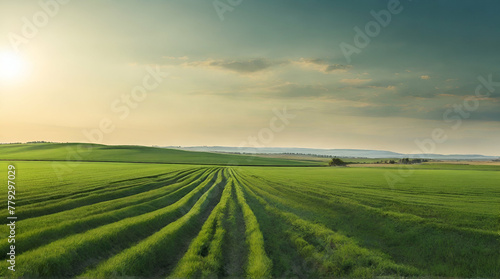 Wide panoramic view of green agricultural fields lit by the sun over horizon  minimalism natural.generative.ai