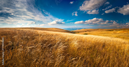 Panoramic late summer dry grass landscape.
