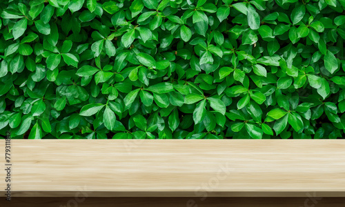 natural horizon beige table TREES  behind