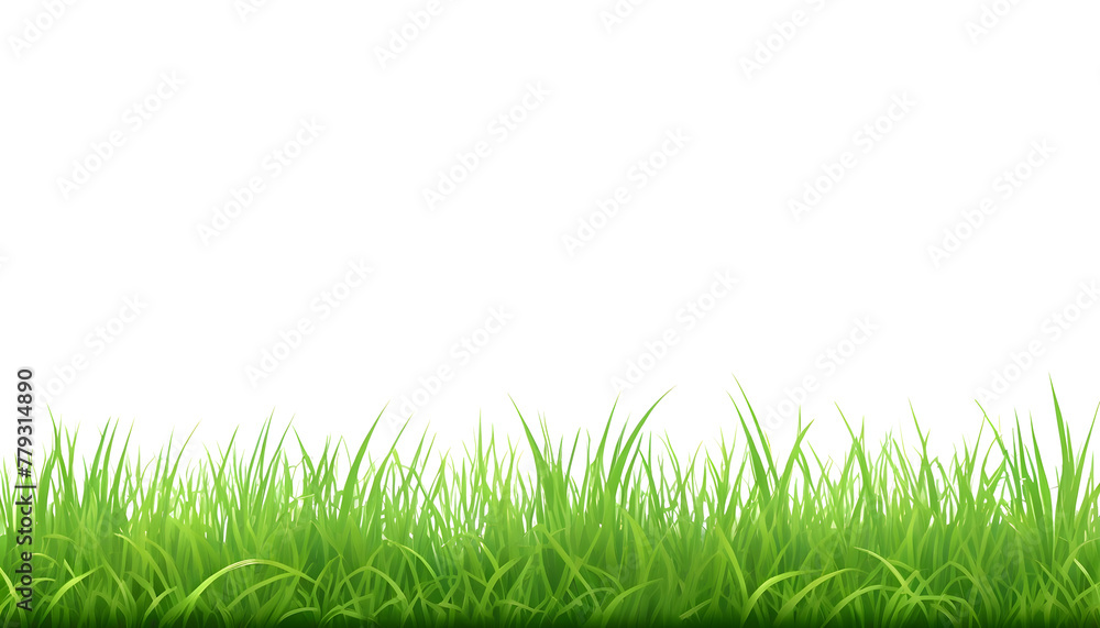 young green grass grass png young grass young green grass grass png young grass