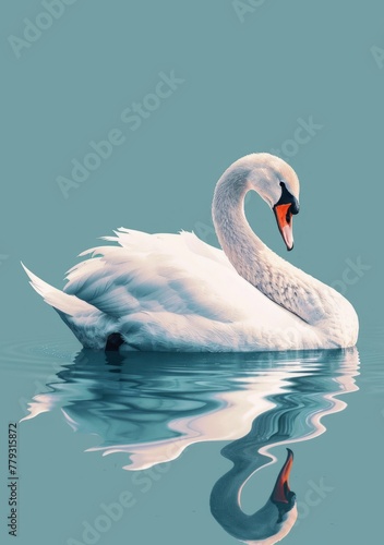 Swan poised on calm blue waters in natural setting - A single swan is captured in its natural elegance  poised on calm blue waters  evoking serenity and nature s simplicity