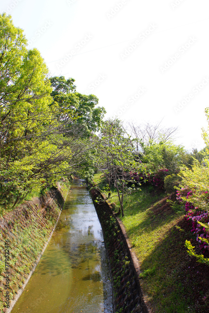 Fototapeta premium 小川