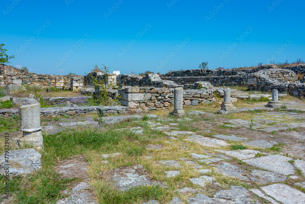 Obraz premium The Ancient City of Histria in Romania