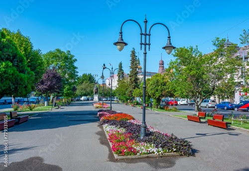 Fotografi Long park in the center of Targu Mures in Romania
