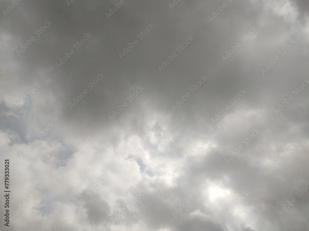 Fototapeta premium 東京のそら(24.4.8)